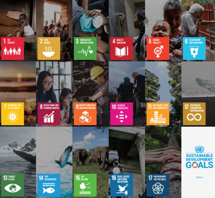 BiXBiT and the UN Sustainable Development Goals: How We Make the World a Better Place